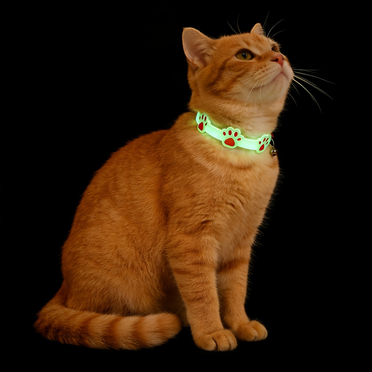 Dog Muzzle Silicone - 2pcs Glow-In-The-Dark Pet Collar | Paw