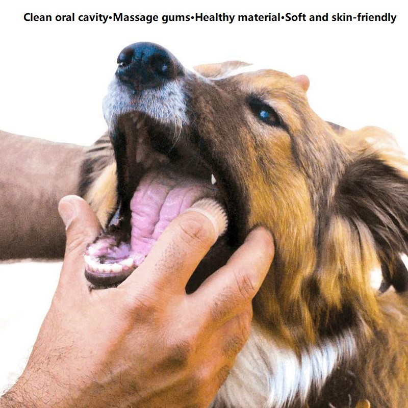 3PCS Dental Cleaning Dog Teeth - đánh giá và giá Dog Muzzle Silicone