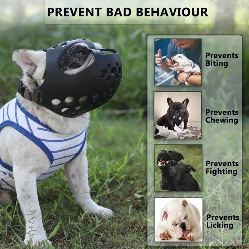 Dog Muzzle For Short Snout Dog - đánh giá và giá Dog Muzzle Silicone