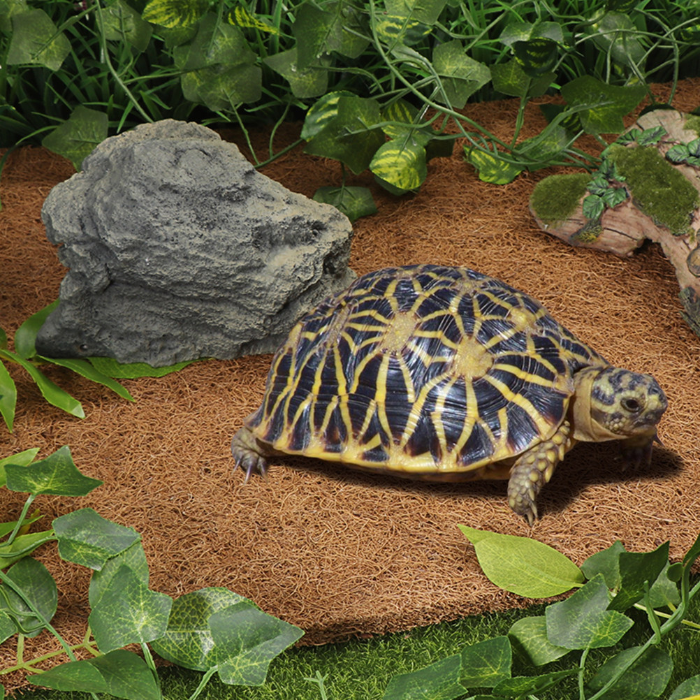 Coconut Substrate for Reptile  - đánh giá và giá Cat Litter Mat