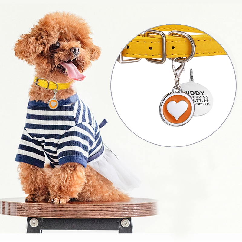 Thú Cưng Chó Mèo Phối Da Thép  - đánh giá và giá Pet Supplies Login