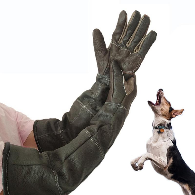 Pet Gloves Cowhide Leather Ant - đánh giá và giá Pet Grooming Glove