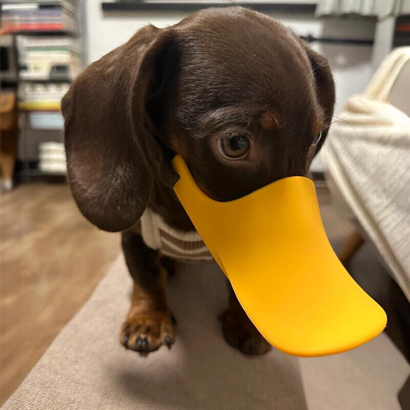 Dog Silicone Duck Muzzle For W - đánh giá và giá Dog Muzzle Silicone