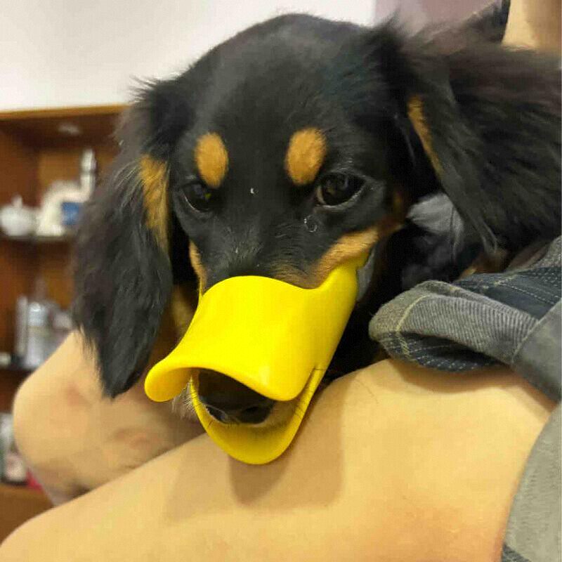 Dog Silicone Duck Muzzle For W - đánh giá và giá Dog Muzzle Silicone