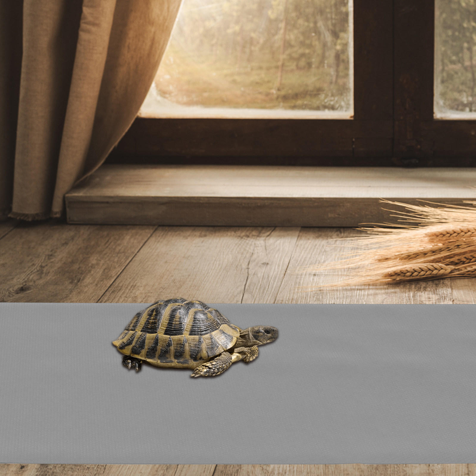 1Sheet Eva Reptile Cage Liner  - đánh giá và giá Cat Litter Mat