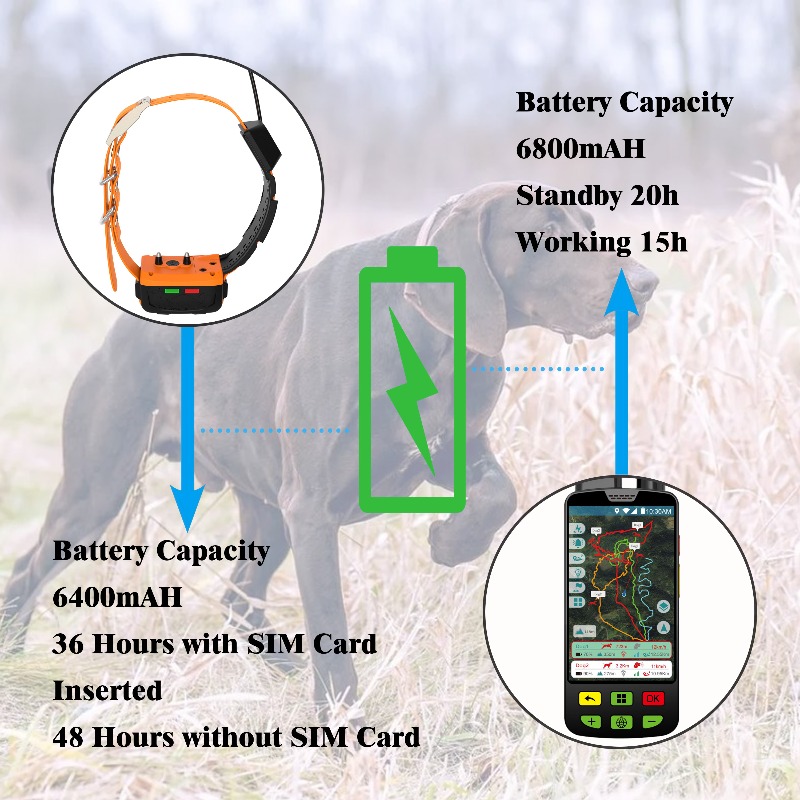 2026 Canine Health GPS Tracker - đánh giá và giá Pet Supplies Login