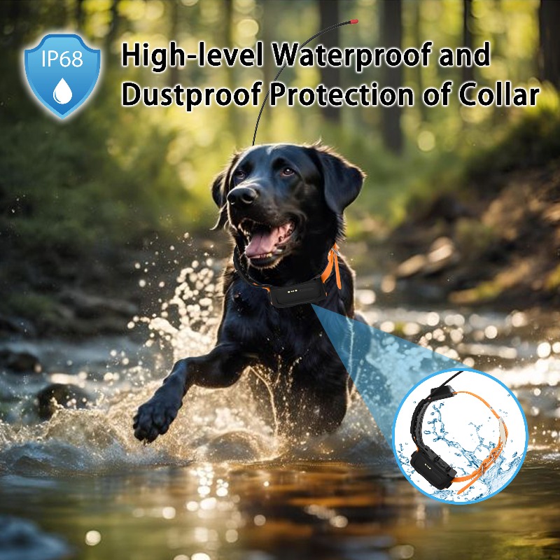 2026 Canine Health GPS Tracker - đánh giá và giá Pet Supplies Login