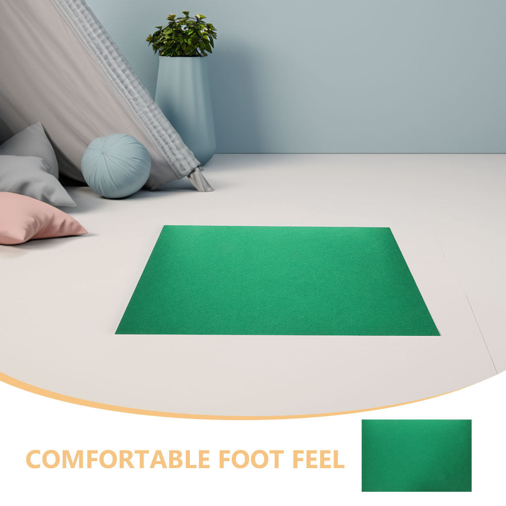 2Pcs Reptile Habitat Carpet Wa - đánh giá và giá Cat Litter Mat