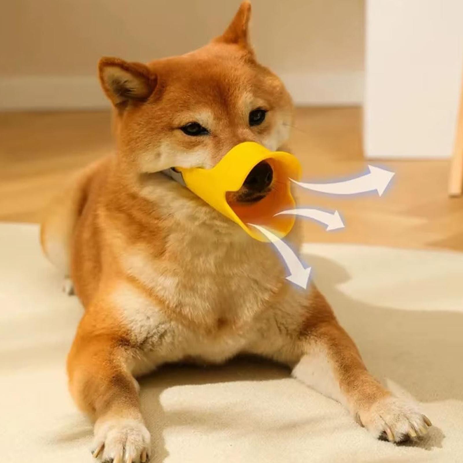 Dog Silicone Duck Mouth Cover  - đánh giá và giá Dog Muzzle Silicone
