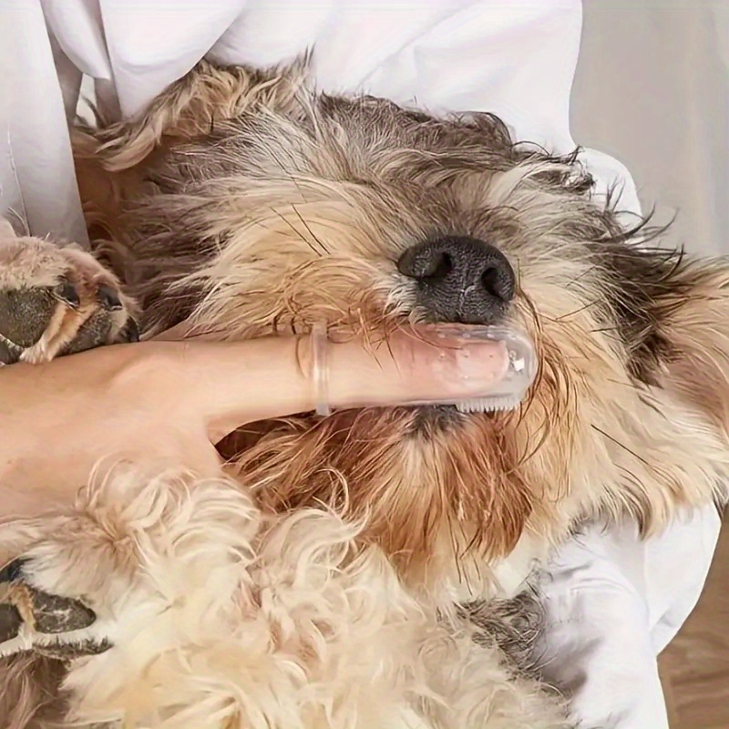 5 Pet Finger Toothbrushes for  - đánh giá và giá Dog Muzzle Silicone