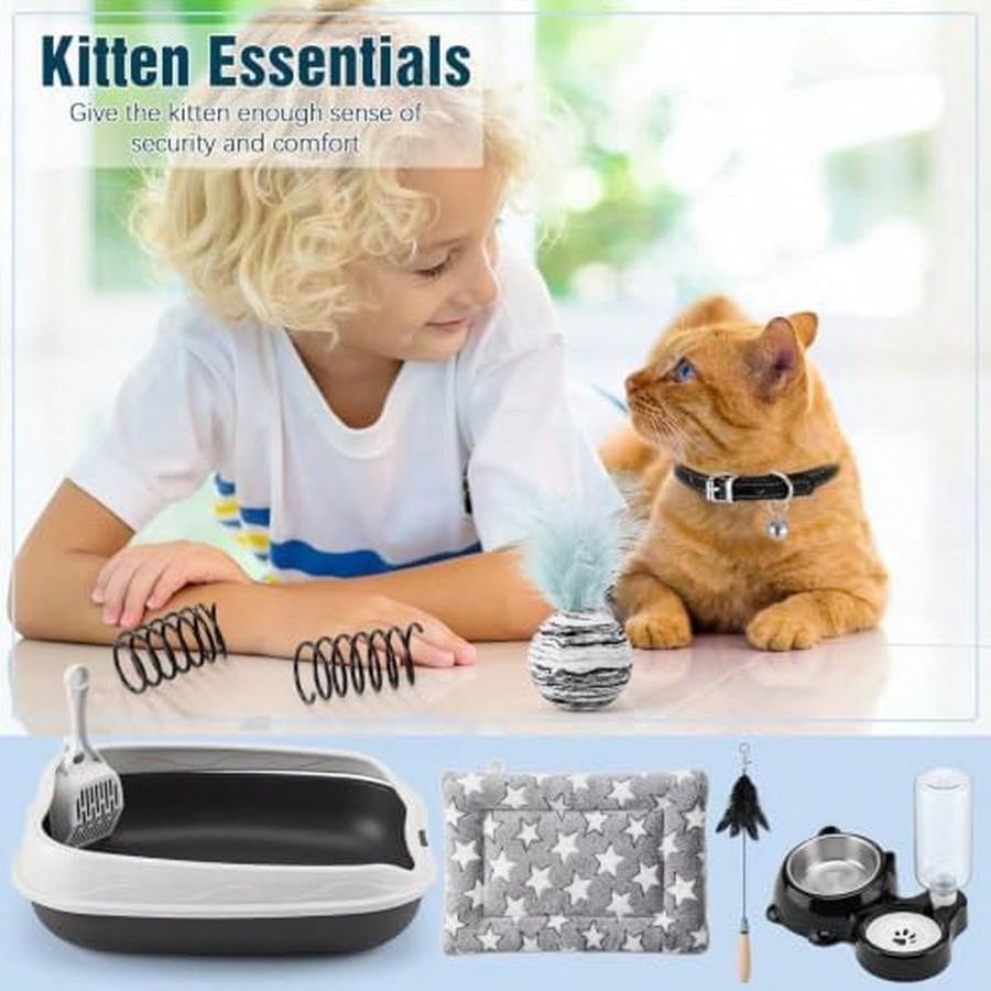 Eccliy Kitten Starter Kit, 10  - đánh giá và giá Cat Litter Mat