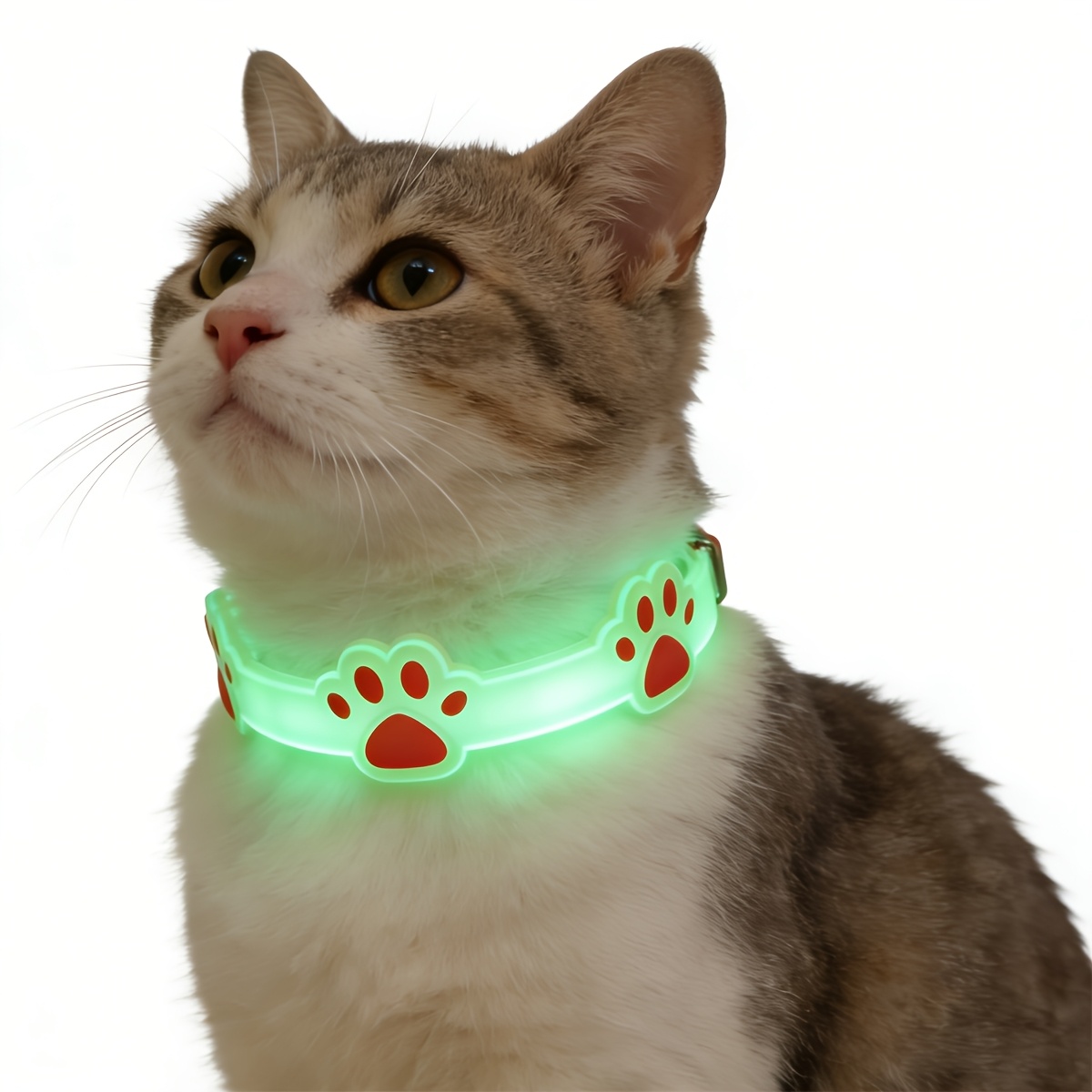2pcs Glow-In-The-Dark Pet Coll - đánh giá và giá Dog Muzzle Silicone